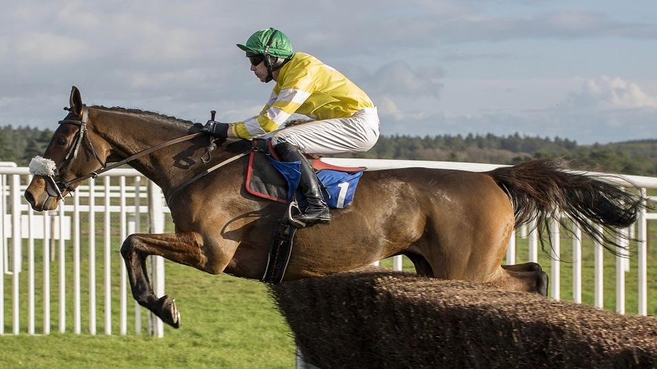 Caroles Destrier in action in 2014